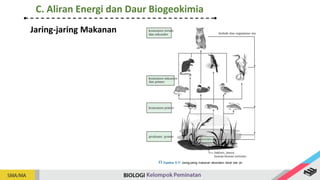 Jaring-jaring Makanan
C. Aliran Energi dan Daur Biogeokimia
 