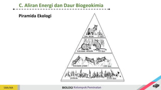Piramida Ekologi
C. Aliran Energi dan Daur Biogeokimia
 