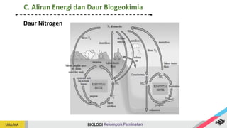 Daur Nitrogen
C. Aliran Energi dan Daur Biogeokimia
 