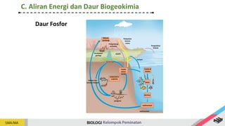 Batuan
tambang
Penambang
an fosfat
Pelapukan
karena
cuaca
Pengolahan
limbah
hanyut
Perubahan
geologi
tumbuhan
Fosfat
dalam
tanah
Fosfat di
lautan
KOMUNITA
S BIOTIK
biota
Hewan dan
kotoran hewan
pupuk
detritus
sedimentasi
pengurai
sedimentasi
Daur Fosfor
C. Aliran Energi dan Daur Biogeokimia
 