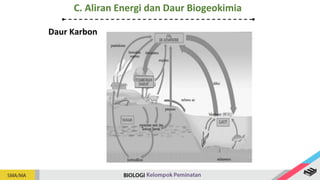 Daur Karbon
C. Aliran Energi dan Daur Biogeokimia
 