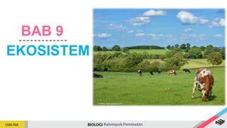 EKOSISTEM
BAB 9
Sumber: www.pixabay.com
 