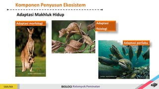 Adaptasi Makhluk Hidup
Adaptasi morfologi
Sumber: www.pixabay.com
Adaptasi perilaku
Sumber: www.pixabay.com
Adaptasi
fisiologi
Sumber: www.pixabay.com
Komponen Penyusun Ekosistem
 