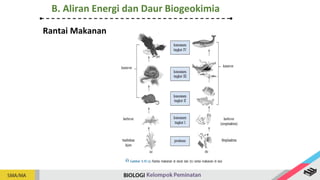 Rantai Makanan
B. Aliran Energi dan Daur Biogeokimia
 
