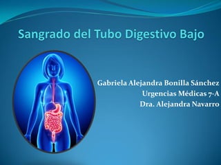 Gabriela Alejandra Bonilla Sánchez 
Urgencias Médicas 7-A 
Dra. Alejandra Navarro 
 