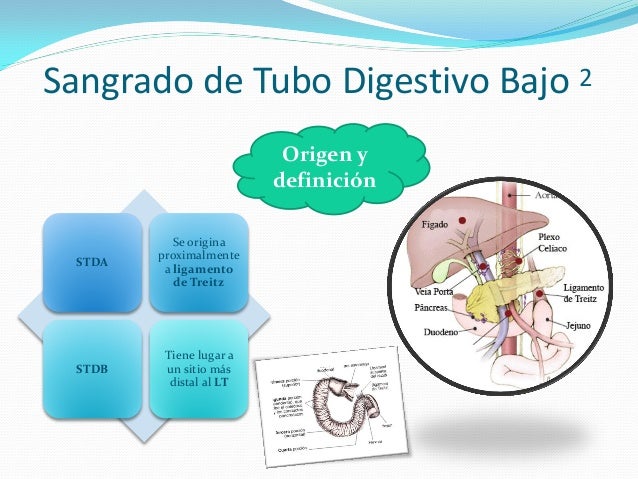 Urgencias: Sangrado Del Tubo Digestivo Bajo