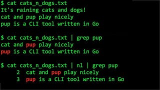 Codementor Office Hours with Eric Chiang: Stdin, Stdout: pup, Go, and life at the command-line