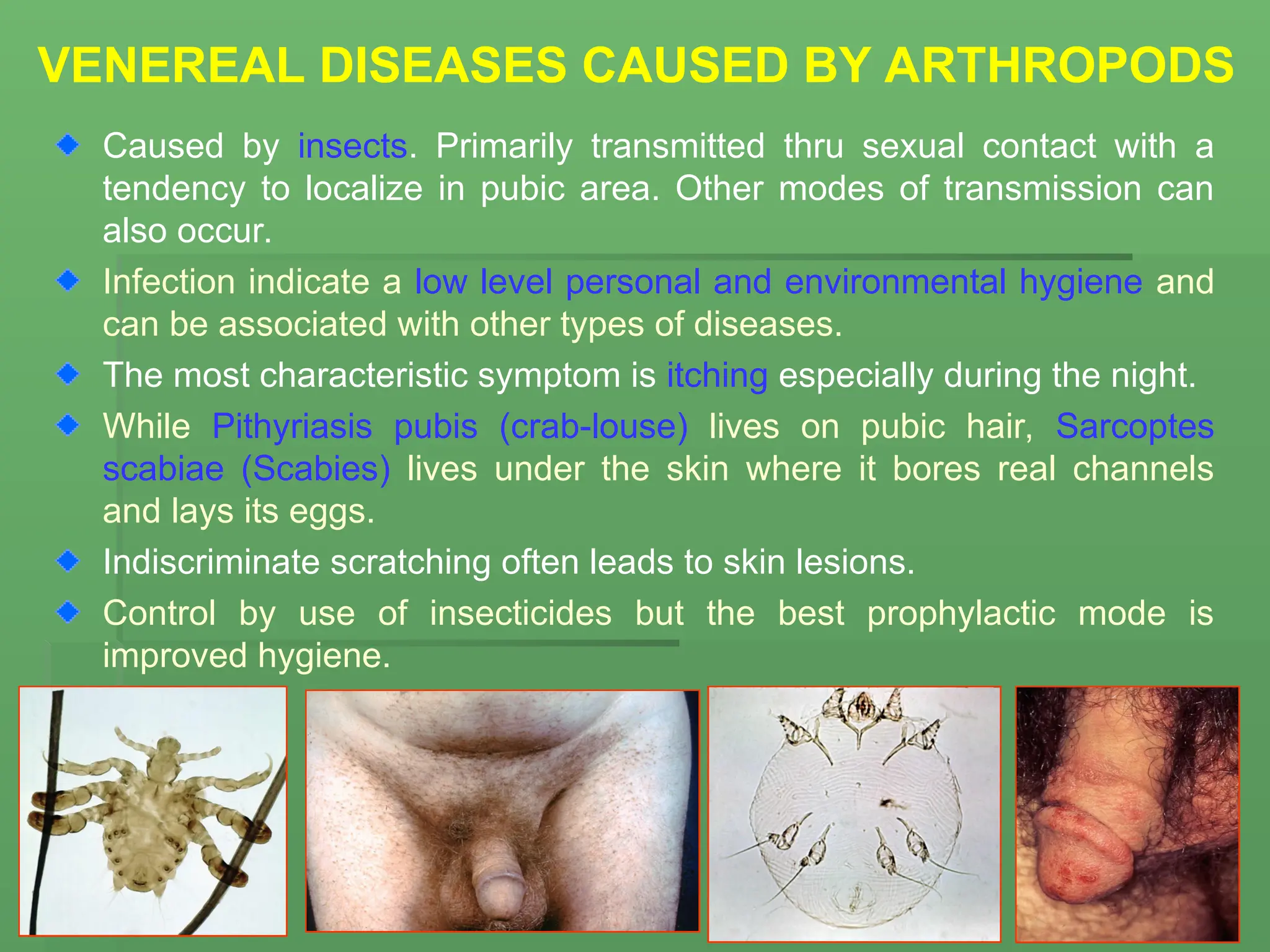 VENEREAL DISEASES CAUSED BY ARTHROPODS
Caused by insects. Primarily transmitted thru sexual contact with a
tendency to localize in pubic area. Other modes of transmission can
also occur.
Infection indicate a low level personal and environmental hygiene and
can be associated with other types of diseases.
The most characteristic symptom is itching especially during the night.
While Pithyriasis pubis (crab-louse) lives on pubic hair, Sarcoptes
scabiae (Scabies) lives under the skin where it bores real channels
and lays its eggs.
Indiscriminate scratching often leads to skin lesions.
Control by use of insecticides but the best prophylactic mode is
improved hygiene.
 