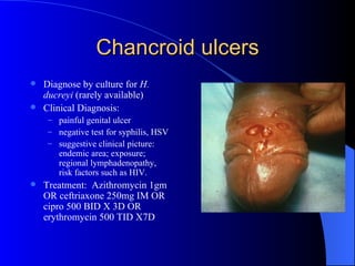 Chancroid ulcers Diagnose by culture for  H. ducreyi  (rarely available) Clinical Diagnosis: painful genital ulcer negative test for syphilis, HSV suggestive clinical picture: endemic area; exposure; regional lymphadenopathy, risk factors such as HIV.  Treatment:  Azithromycin 1gm OR ceftriaxone 250mg IM OR cipro 500 BID X 3D OR erythromycin 500 TID X7D 