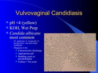 Vulvovaginal Candidiasis pH <4 (yellow) KOH, Wet Prep Candida albicans  most common  ( C. glabrata, C. tropicalis, C. parapsilosis  are next most common) Diagnosis is by: Characteristic discharge Appropriate pH Budding yeast or pseudohyphae Culture + for yeast 