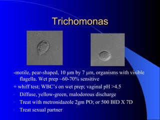 Trichomonas -motile, pear-shaped, 10 µm by 7 µm, organisms with visible flagella. Wet prep ~60-70% sensitive + whiff test; WBC’s on wet prep; vaginal pH >4.5 Diffuse, yellow-green, malodorous discharge Treat with metronidazole 2gm PO; or 500 BID X 7D Treat sexual partner 