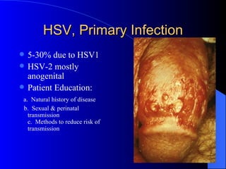 HSV, Primary Infection 5-30% due to HSV1 HSV-2 mostly anogenital Patient Education: a.  Natural history of disease b.  Sexual & perinatal transmission c.  Methods to reduce risk of transmission 