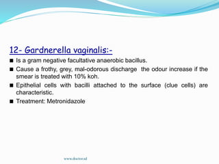 12- Gardnerella vaginalis:-
Is a gram negative facultative anaerobic bacillus.
Cause a frothy, grey, mal-odorous discharge the odour increase if the
smear is treated with 10% koh.
Epithelial cells with bacilli attached to the surface (clue cells) are
characteristic.
Treatment: Metronidazole
www.doctor.sd
 