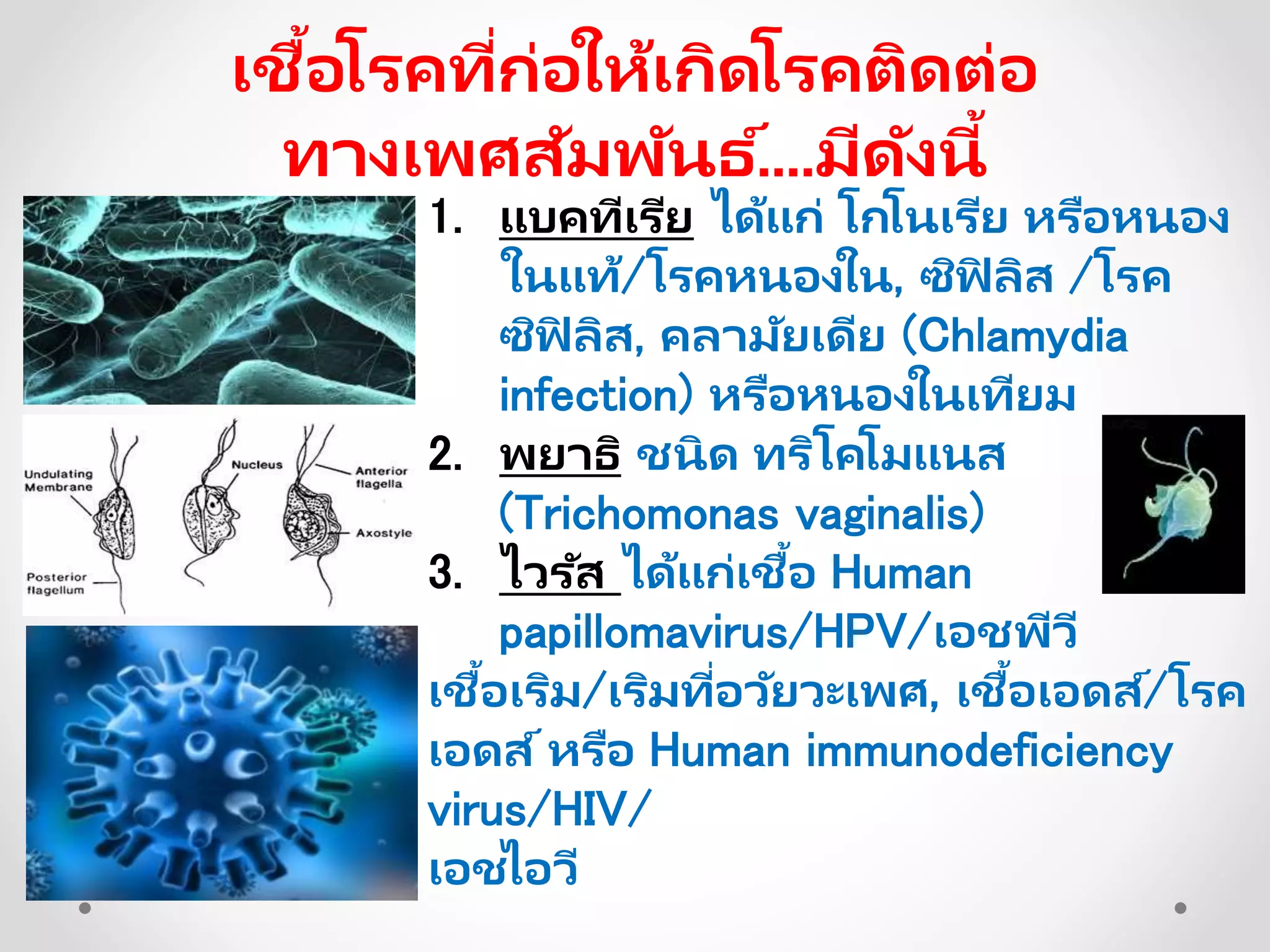 1. แบคทีเรีย ได้แก่ โกโนเรีย หรือหนอง
ในแท้/โรคหนองใน, ซิฟิ ลิส /โรค
ซิฟิ ลิส, คลามัยเดีย (Chlamydia
infection) หรือหนองในเทียม
2. พยาธิ ชนิด ทริโคโมแนส
(Trichomonas vaginalis)
3. ไวรัส ได้แก่เชื้อ Human
papillomavirus/HPV/เอชพีวี
เชื้อเริม/เริมที่อวัยวะเพศ, เชื้อเอดส์/โรค
เอดส์หรือ Human immunodeficiency
virus/HIV/
เอชไอวี
เชื้อโรคที่ก่อให้เกิดโรคติดต่อ
ทางเพศสัมพันธ ์....มีดังนี้
 