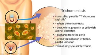 Trichomoniasis
• - one celled parasite “Trichomonas
vaginalis”
• - infects the urinary tract
• - clear, white, greenish or yellowish
vaginal discharge.
• - discharge from the penis
• - strong vaginal odor, irritation,
painful urination
• - pain during sexual intercourse
 