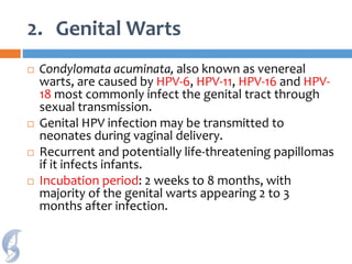2. Genital Warts
 Condylomata acuminata, also known as venereal
warts, are caused by HPV-6, HPV-11, HPV-16 and HPV-
18 most commonly infect the genital tract through
sexual transmission.
 Genital HPV infection may be transmitted to
neonates during vaginal delivery.
 Recurrent and potentially life-threatening papillomas
if it infects infants.
 Incubation period: 2 weeks to 8 months, with
majority of the genital warts appearing 2 to 3
months after infection.
 