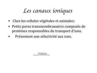 Les canaux ioniques
• Chez les cellules végétales et animales:
• Petits pores transmembranaires composés de
  protéines responsables du transport d’ions.
• Présentent une sélectivité aux ions.



                      QuickTimeª and a
                        decompressor
              are needed to see this picture.
 