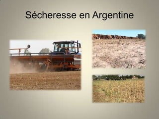 Sécheresse en Argentine
 