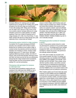 Steady backroom work underpins breakthrough crop science