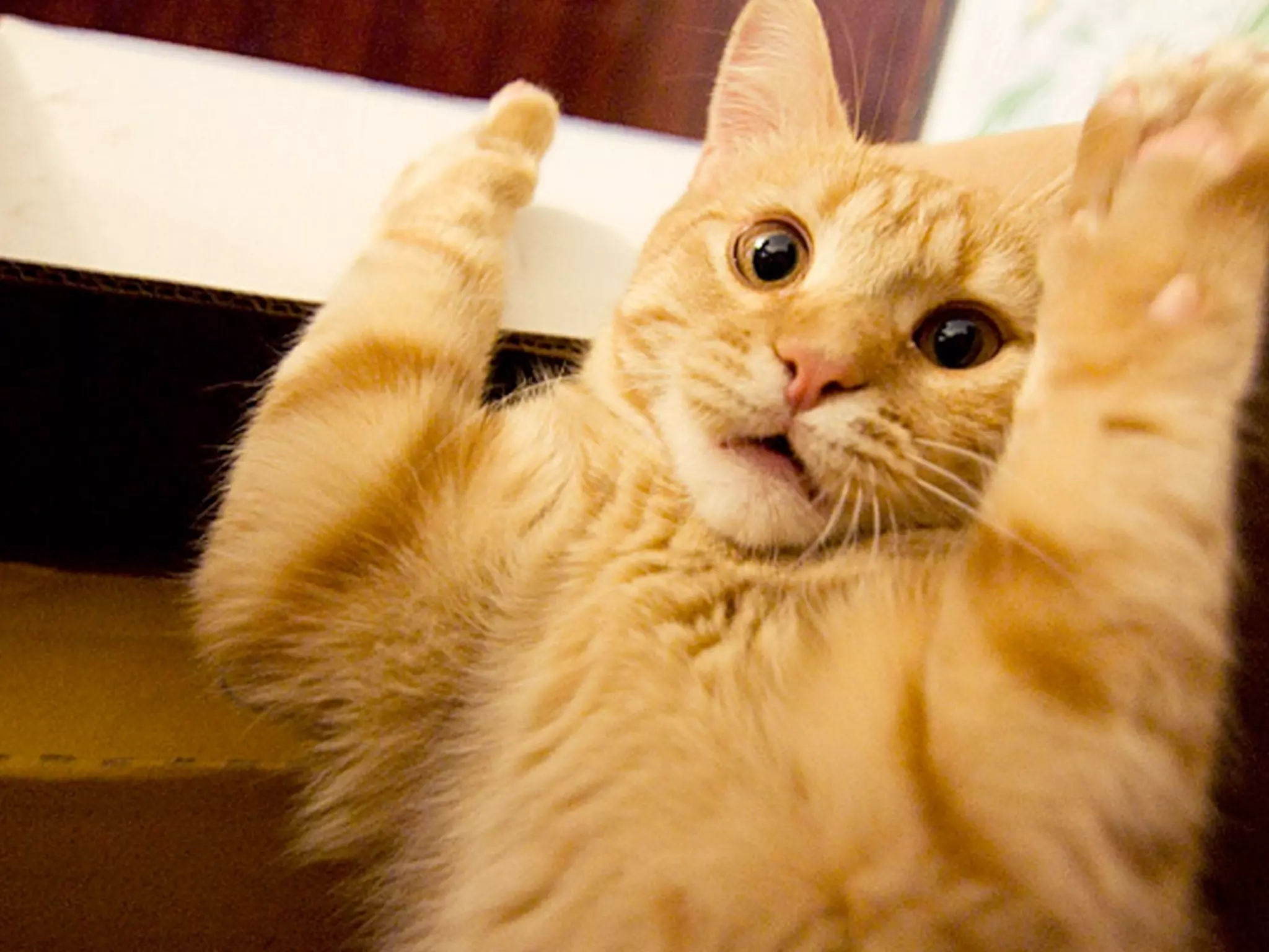 2) META PROGRAMMING!
 