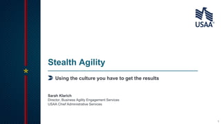 1
Using the culture you have to get the results
Stealth Agility
Director, Business Agility Engagement Services
USAA Chief Administrative Services
Sarah Klarich
 