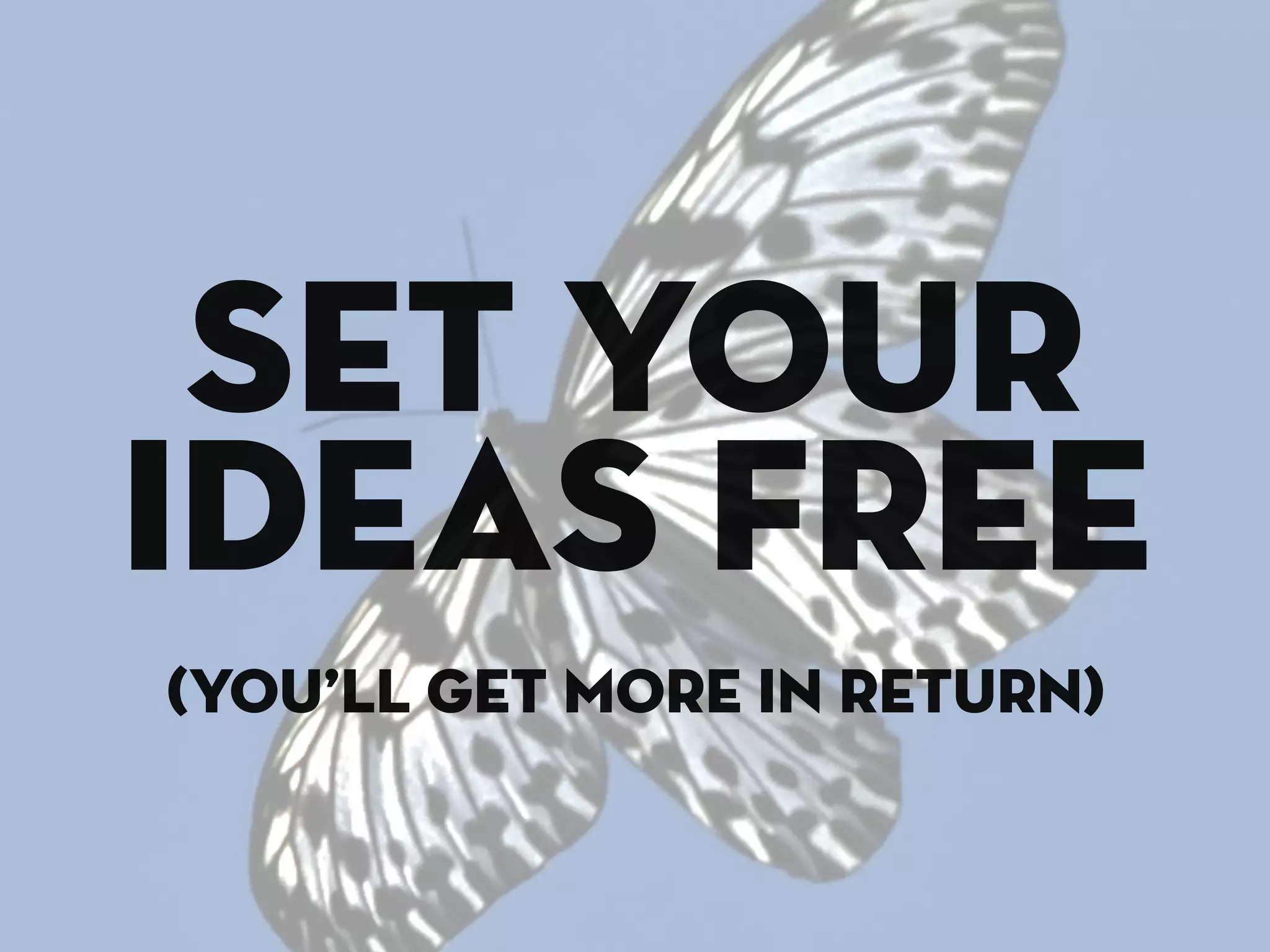 set your
ideas free
(you’ll get more in return)
 