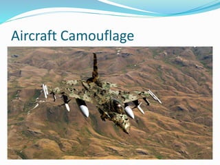 Aircraft Camouflage
 