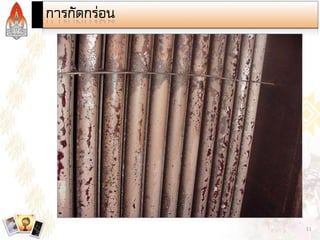 Steam and Condensate Loop (Thai)