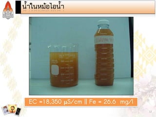 Steam and Condensate Loop (Thai)