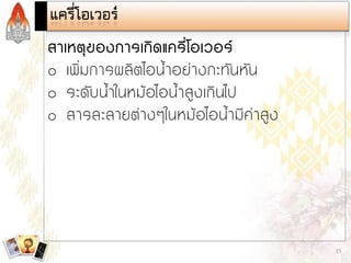 Steam and Condensate Loop (Thai)