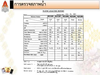 Steam and Condensate Loop (Thai)