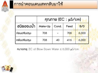 Steam and Condensate Loop (Thai)