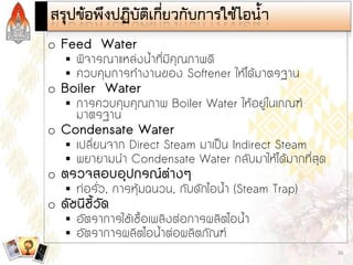 Steam and Condensate Loop (Thai)