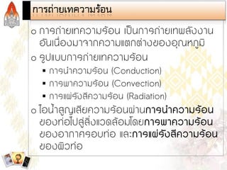 Steam and Condensate Loop (Thai)