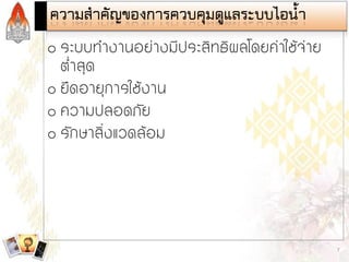 Steam and Condensate Loop (Thai)