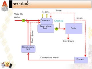 Steam and Condensate Loop (Thai)