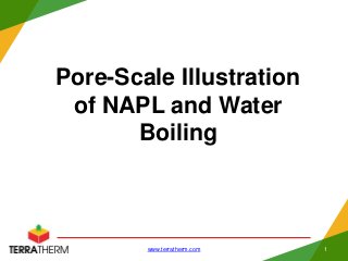 Pore-Scale Illustration
of NAPL and Water
Boiling
www.terratherm.com 1
 