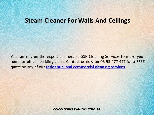Steam Cleaner For Walls And Ceilings