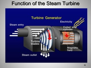 Function of the Steam Turbine
10
 