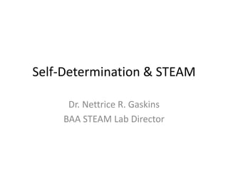 Self-Determination & STEAM
Dr. Nettrice R. Gaskins
BAA STEAM Lab Director
 