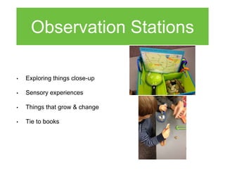 Observation Stations
• Exploring things close-up
• Sensory experiences
• Things that grow & change
• Tie to books
 