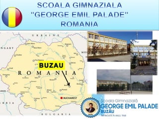 Steam like Leonardo Participating schools