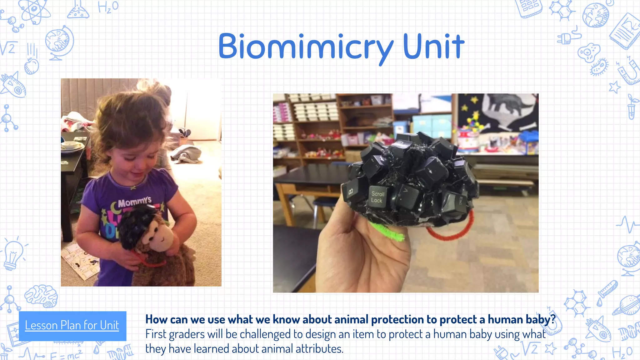 Biomimicry Unit
Lesson Plan for Unit How can we use what we know about animal protection to protect a human baby?
First graders will be challenged to design an item to protect a human baby using what
they have learned about animal attributes.
 