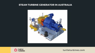 Steam Turbine Generator in Australia.pdf