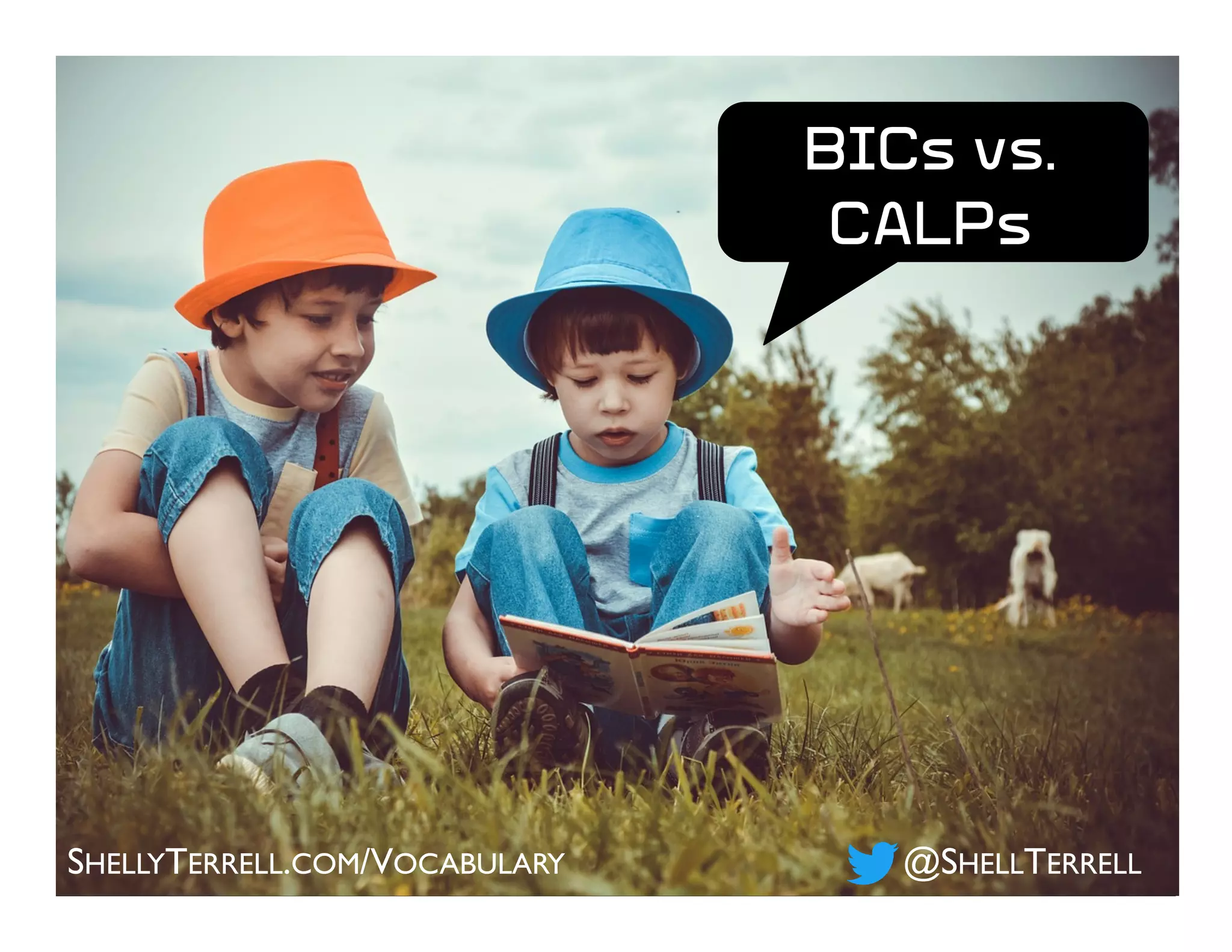 SHELLYTERRELL.COM/VOCABULARY @SHELLTERRELL
BICs vs.
CALPs
 