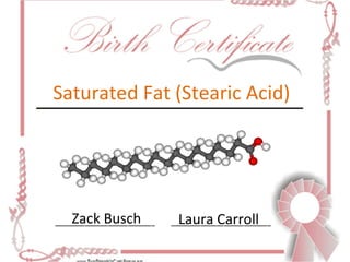Saturated Fat (Stearic Acid) Zack Busch Laura Carroll 