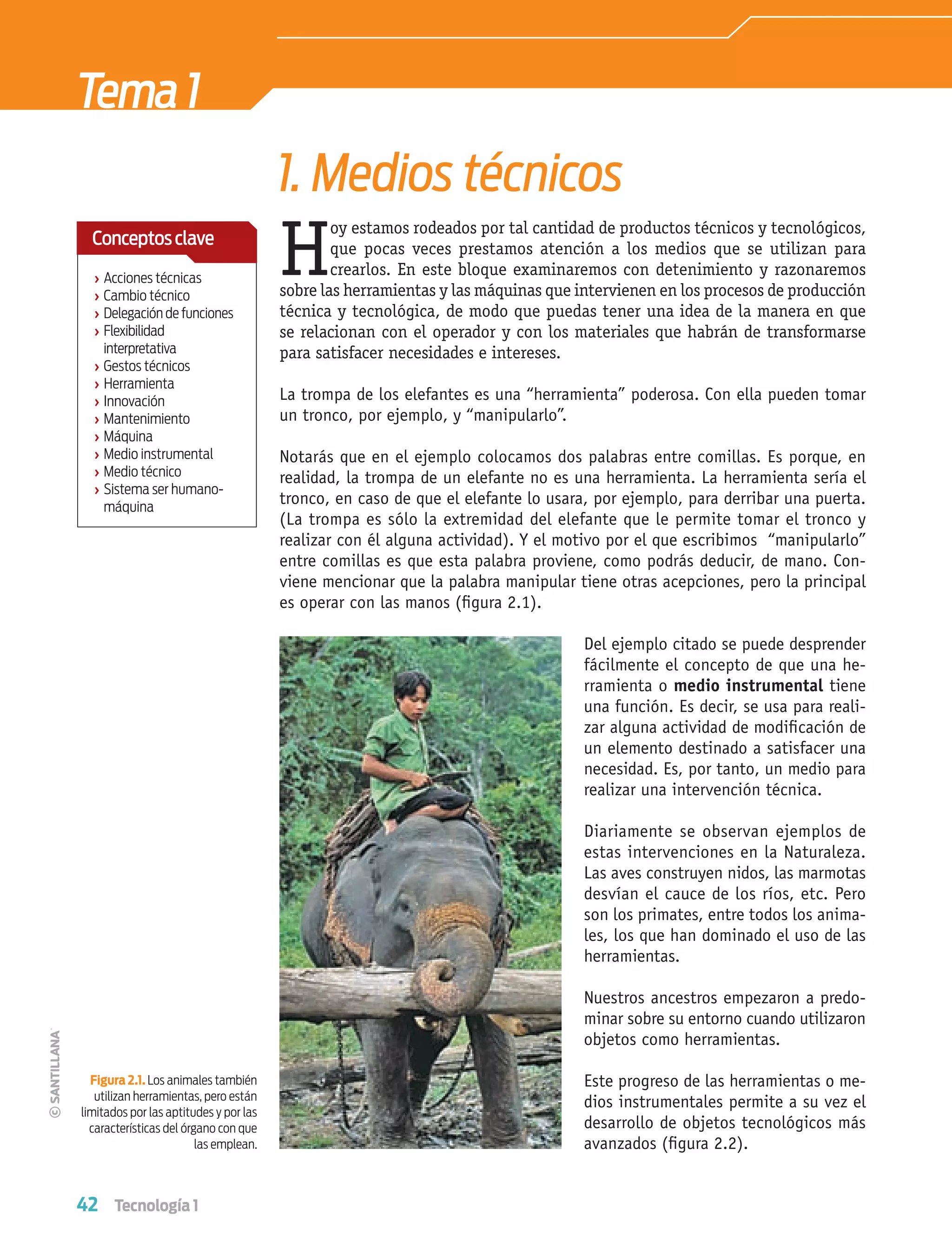 42 Tecnología 1
H
oy estamos rodeados por tal cantidad de productos técnicos y tecnológicos,
que pocas veces prestamos atención a los medios que se utilizan para
crearlos. En este bloque examinaremos con detenimiento y razonaremos
sobre las herramientas y las máquinas que intervienen en los procesos de producción
técnica y tecnológica, de modo que puedas tener una idea de la manera en que
se relacionan con el operador y con los materiales que habrán de transformarse
para satisfacer necesidades e intereses.
1. Medios técnicos
Tema1
La trompa de los elefantes es una “herramienta” poderosa. Con ella pueden tomar
un tronco, por ejemplo, y “manipularlo”.
Notarás que en el ejemplo colocamos dos palabras entre comillas. Es porque, en
realidad, la trompa de un elefante no es una herramienta. La herramienta sería el
tronco, en caso de que el elefante lo usara, por ejemplo, para derribar una puerta.
(La trompa es sólo la extremidad del elefante que le permite tomar el tronco y
realizar con él alguna actividad). Y el motivo por el que escribimos “manipularlo”
entre comillas es que esta palabra proviene, como podrás deducir, de mano. Con-
viene mencionar que la palabra manipular tiene otras acepciones, pero la principal
es operar con las manos (ﬁgura 2.1).
Del ejemplo citado se puede desprender
fácilmente el concepto de que una he-
rramienta o medio instrumental tiene
una función. Es decir, se usa para reali-
zar alguna actividad de modiﬁcación de
un elemento destinado a satisfacer una
necesidad. Es, por tanto, un medio para
realizar una intervención técnica.
Diariamente se observan ejemplos de
estas intervenciones en la Naturaleza.
Las aves construyen nidos, las marmotas
desvían el cauce de los ríos, etc. Pero
son los primates, entre todos los anima-
les, los que han dominado el uso de las
herramientas.
Nuestros ancestros empezaron a predo-
minar sobre su entorno cuando utilizaron
objetos como herramientas.
Este progreso de las herramientas o me-
dios instrumentales permite a su vez el
desarrollo de objetos tecnológicos más
avanzados (ﬁgura 2.2).
Figura 2.1. Los animales también
utilizan herramientas, pero están
limitados por las aptitudes y por las
características del órgano con que
las emplean.
› Acciones técnicas
› Cambio técnico
› Delegación de funciones
› Flexibilidad
interpretativa
› Gestos técnicos
› Herramienta
› Innovación
› Mantenimiento
› Máquina
› Medio instrumental
› Medio técnico
› Sistema ser humano-
máquina
Conceptosclave
Tecnologia 1-p3.indd 42Tecnologia 1-p3.indd 42 4/12/12 11:41 AM4/12/12 11:41 AM
 