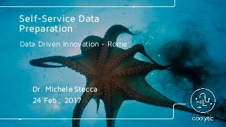 Data Driven Innovation - Rome
Self-Service Data
Preparation
Dr. Michele Stecca
24 Feb., 2017
 