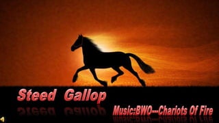 Steed  Gallop　 Music:BWO---Chariots Of Fire　 