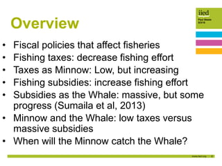 2
Paul Steele
5/3/15
Overview
• Fiscal policies that affect fisheries
• Fishing taxes: decrease fishing effort
• Taxes as Minnow: Low, but increasing
• Fishing subsidies: increase fishing effort
• Subsidies as the Whale: massive, but some
progress (Sumaila et al, 2013)
• Minnow and the Whale: low taxes versus
massive subsidies
• When will the Minnow catch the Whale?
 